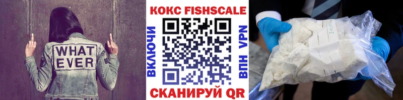 COCAIN FishScale  Купить закладки  Городец 