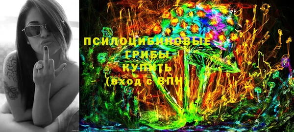 не бодяженный Инсар